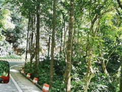 -广州市白云山风景名胜区