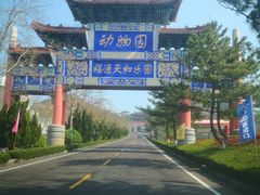 -西霞口神雕山野生动物世界