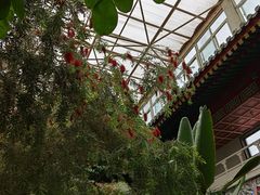 -寿山福海养老服务中心(石景山院)