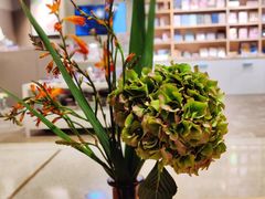 -代数学家algebraist(诚品店)