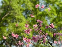 -广州市白云山风景名胜区