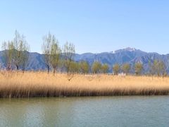 -野鸭湖国家湿地公园