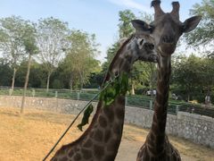 -石家庄市动物园