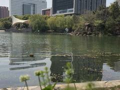 -天鹅湖体育公园