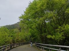 -西湖风景区-江洋畈生态公园