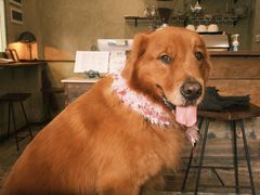 -六区宿舍咖啡店