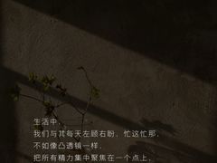 -竞思注意力·专注力·学习能力训练(广开中心)