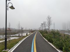 -五里桥文化公园-西侧停车场