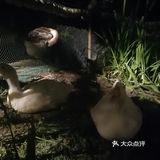 北二环的江南风景区[加油]积水潭西[呲牙]