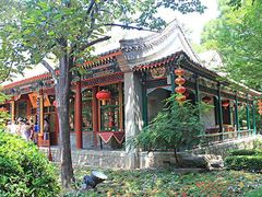 -白家大院·王府宫廷菜(苏州街店)