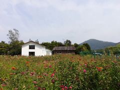 -乌石塘景区