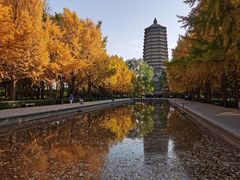 -玲珑塔公园