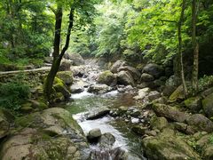 -白云源风景区