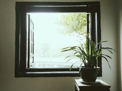 android_upload_pic-东莞市可园博物馆