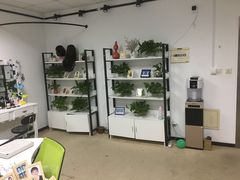 -星卡照相馆(奉贤百联店)