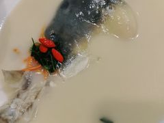 东坡河豚-肆月河豚·新淮扬(金融街店)