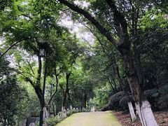 -龟山风景区-龟山电视塔