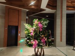 -浅深Cheersum(曹杨店)