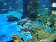 -锦艺城海洋馆
