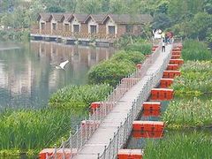 -重庆彩云湖湿地公园