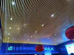 -农垦博纳国际影城(津奥广场IMAX店)