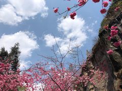 -西游洞风景区