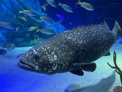 -沈阳海洋探索中心