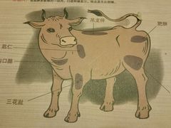 -潮汕牛肉火锅(铁西店)