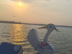 -丁香湖公园