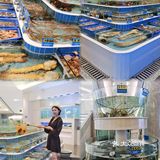 深圳美食 | 优食坊，海鲜zui高端吃法🦞