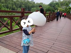-大亚湾红树林城市湿地公园