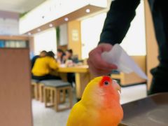 -向阳羊汤(千峰店)