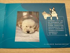 -美联众合动物医院·24h转诊中心