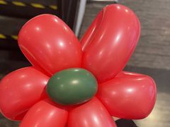 -眉州东坡(民族园店)