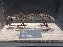 -大庆市博物馆