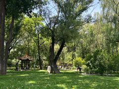 -晋祠公园