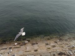 -八大峡公园