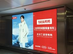 -米兰马尔彭萨国际机场