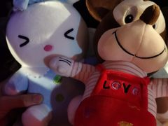 -PAWTOY爪e玩偶店(天兴罗斯福店)