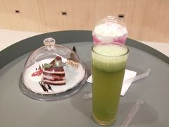 -飞行喵MR PILOT|猫舍·猫咖(静安大融城店)