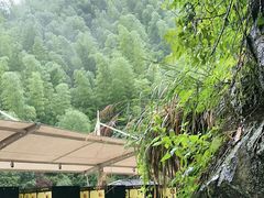 -将军关探险漂流