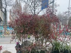 -食悦江南·淮扬菜·烤鸭(亚运村·惠新店)