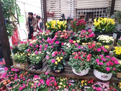 -秦美花卉(天朗·莱茵小城2期店)