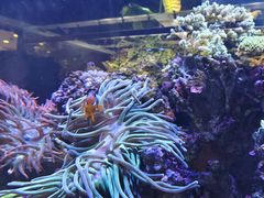 -煲煲掂风味煲仔饭餐厅(西区店)