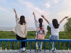 -合肥滨湖国家森林公园