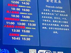 -合肥海洋世界