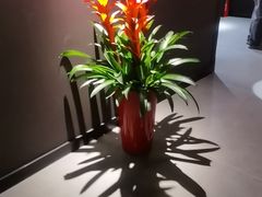 -金狮麟·新豫菜(杏石口路店)