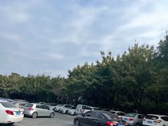 -广东花都湖国家湿地公园