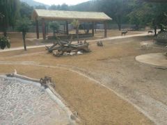 -石家庄市动物园