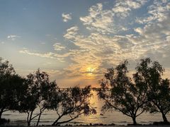 -宝安西湾红树林湿地公园